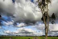 爱游戏官网:时隔139天 亚泰将士回家啦!.