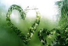 希罗17投11中&三分9中5砍下30分3板7助 连续两场砍下30+.